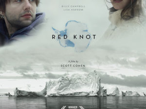 RED KNOT (2014)