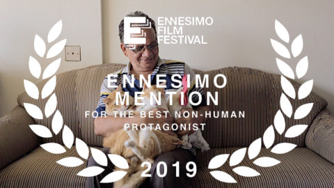 ennesimo-film-festival-2019-ennesmo-mention-non-human-protagonist---tungruss